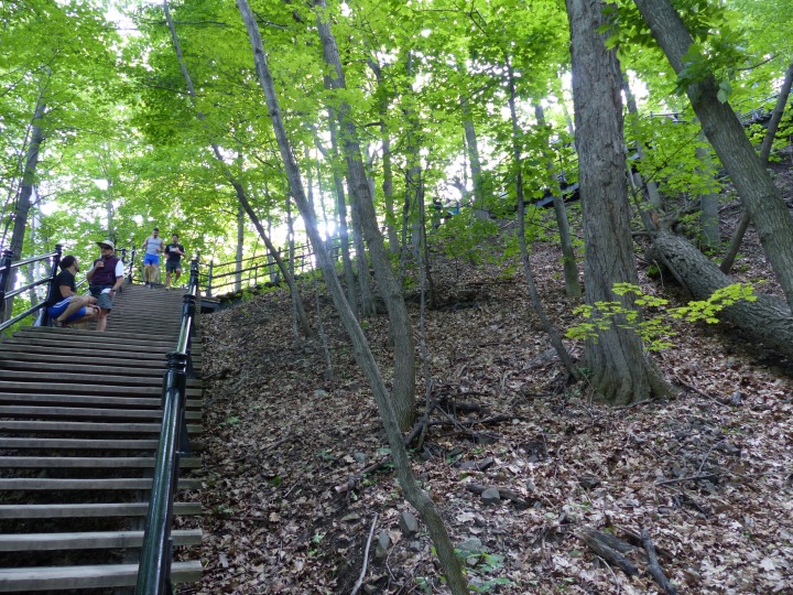 Steps on Mont Royal