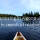 Canoes and moose in Algonquin Provincial Park
